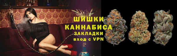 spice Лабытнанги