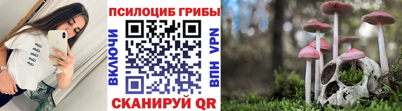 Псилоцибиновые грибы GOLDEN TEACHER  мега ССЫЛКА  Райчихинск  купить  
